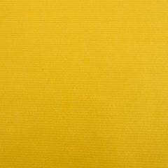 цветная бумага крафт Canson 0.68*3м желтая 65г/м 200004296