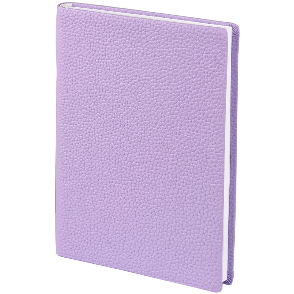 ежедневник недатированный А5 InFolio Palette AZ491 фиолетовый /violet