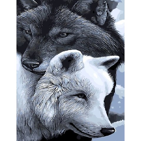 картина по номерам 40х50см GX9633 “Пара волков”