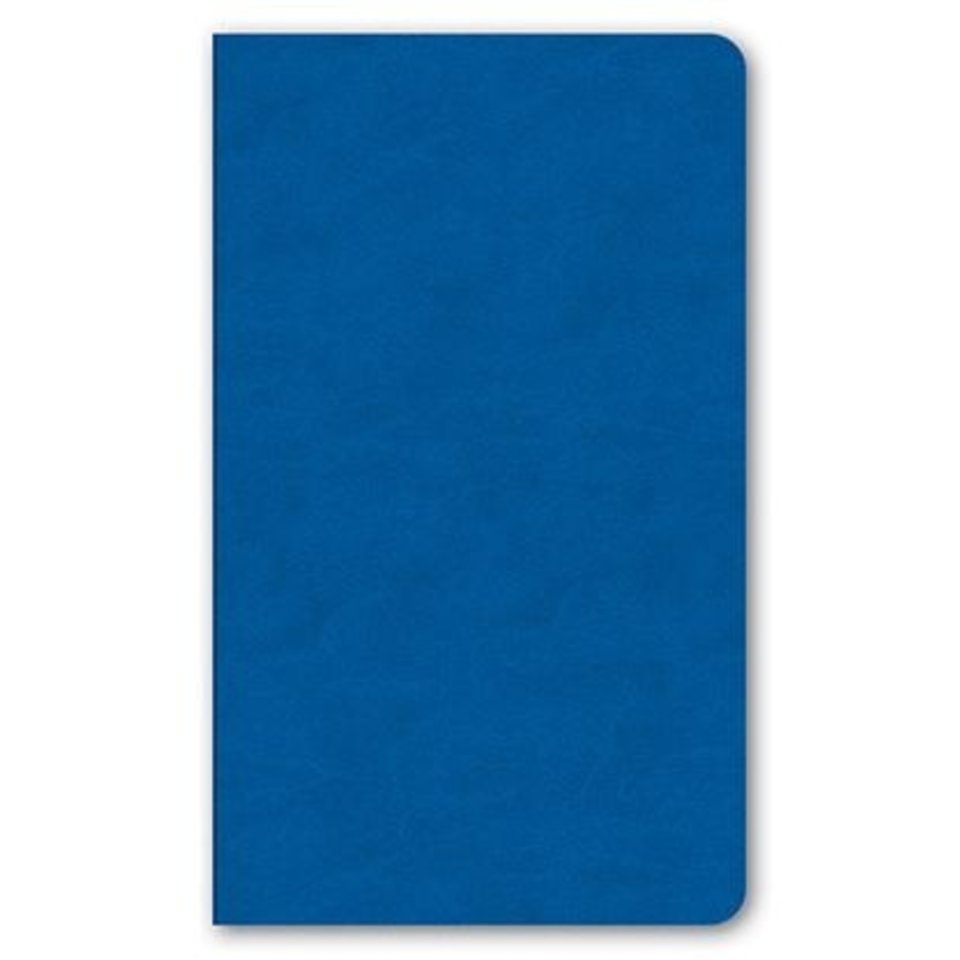 блокнот А5 128 листов Vivella клетка с цветным срезом синий 01609
