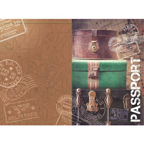 обложка для паспорта Вояж 20092