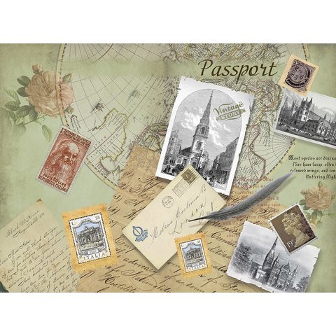 обложка для паспорта Письма 20073