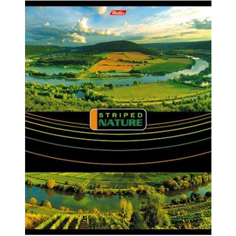 тетрадь 96 листов Полосатый мир в линейку
