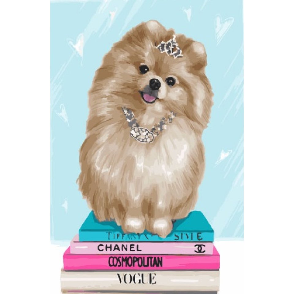 картина по номерам 40х50см PK22077 “Модный шпиц”