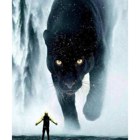 картина по номерам 40х50см GX30398 “Мираж Пантера”