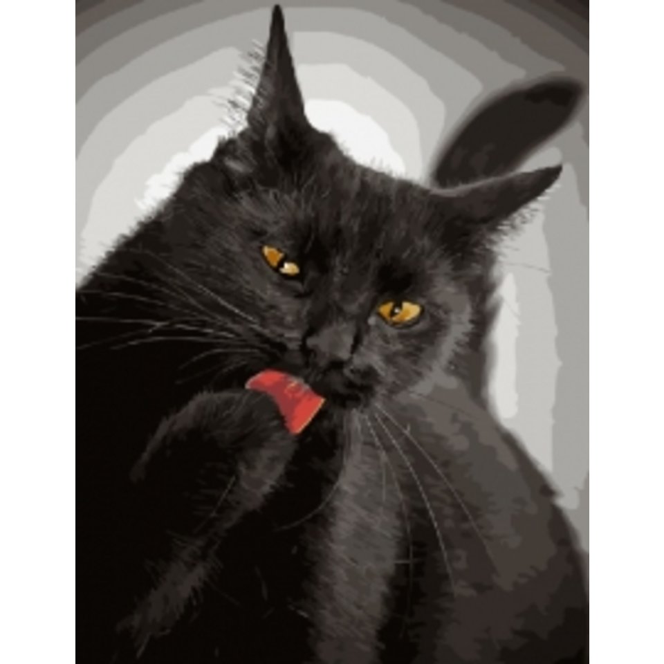 картина по номерам 40х50см GX21748 “Черный кот”