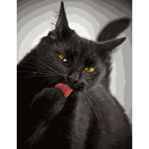 картина по номерам 40х50см GX21748 “Черный кот”