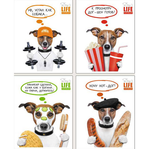 тетрадь 48 листов Собачья жизнь 0029 в клетку
