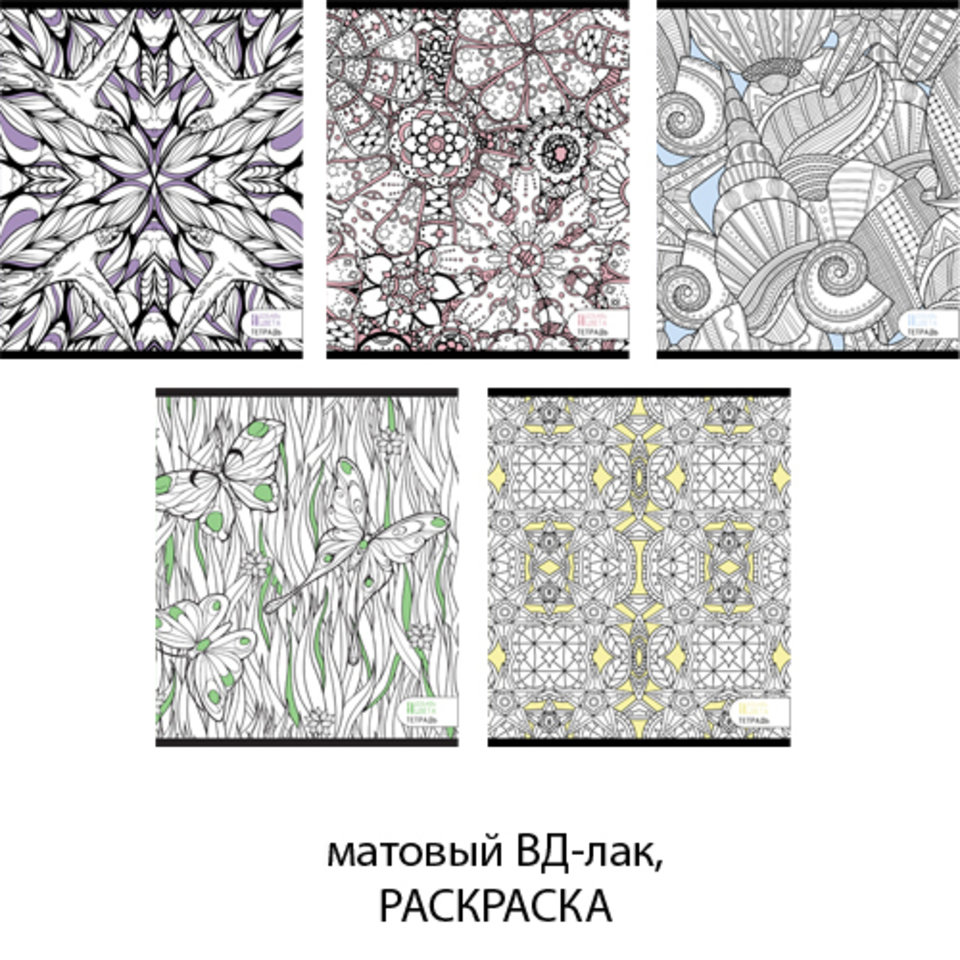 тетрадь 96 листов Вдохновение (раскраска) 965556 в клетку
