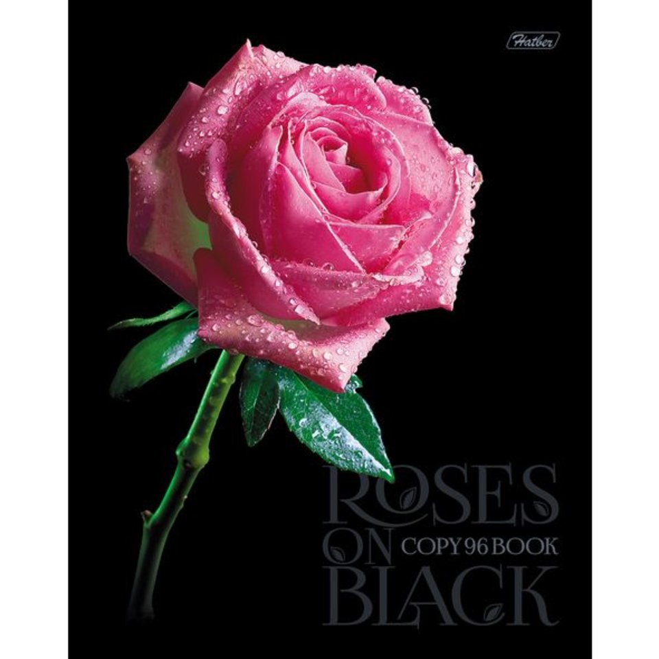 тетрадь 96 листов Roses on black 3Dл (050510) в клетку