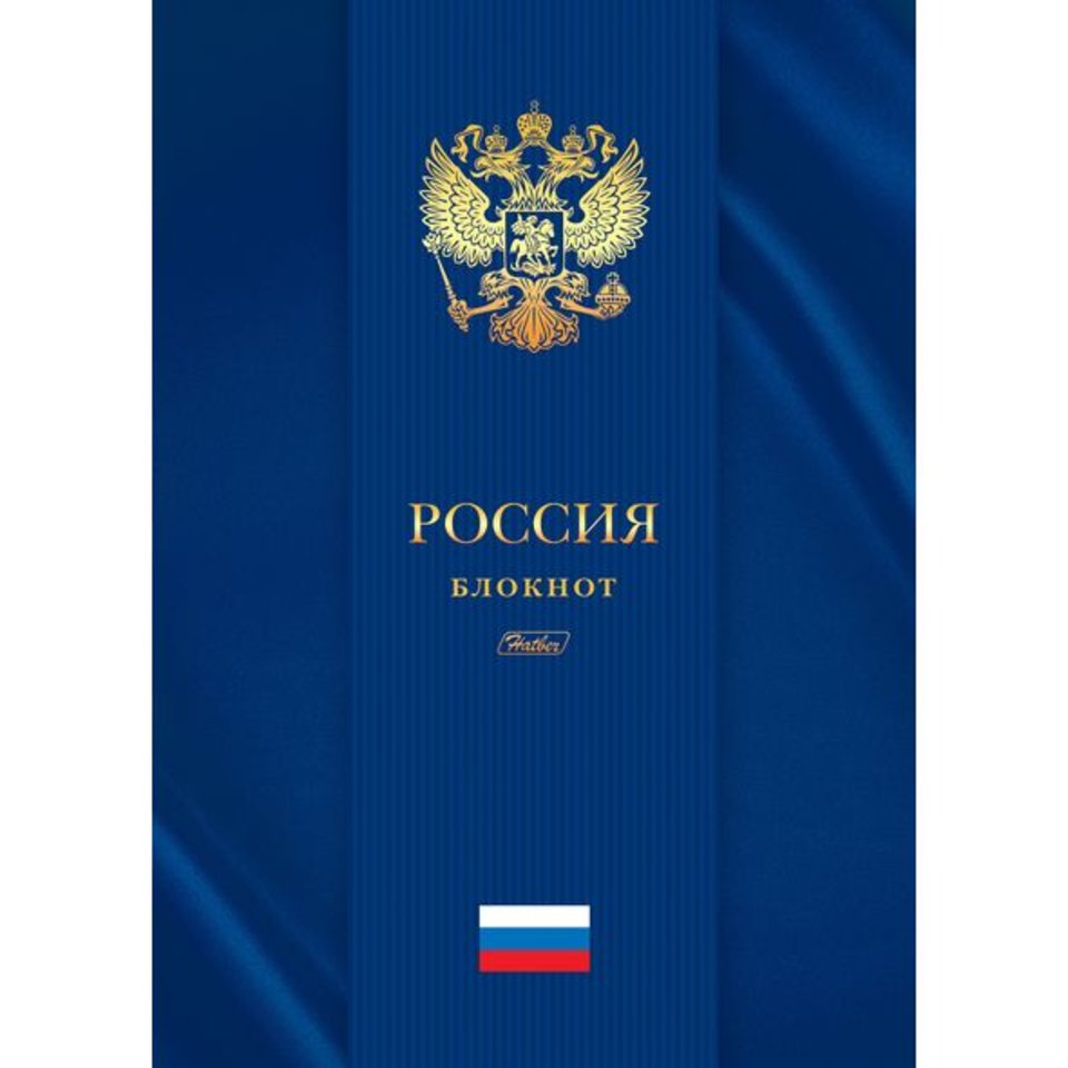 книга для записи А4 80 листов Россия твердый переплет 3Dф 17465 (050500)