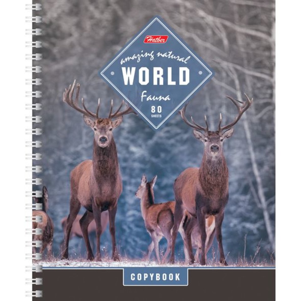 тетрадь 80 листов Удивительный мир на гребне (052620) в клетку