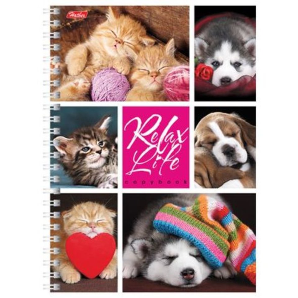 тетрадь 96 листов Relax Life пластиковый на гребне 16627(048567) в клетку