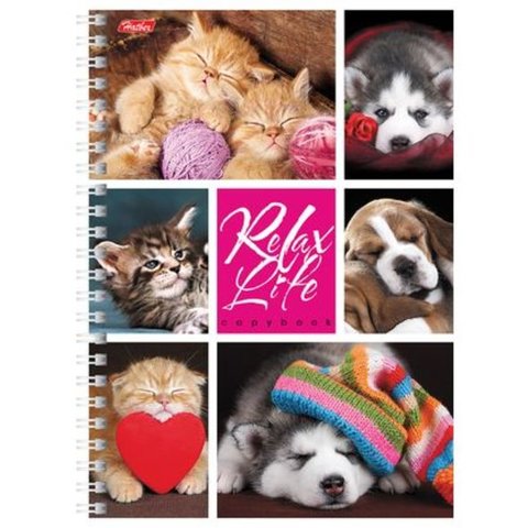 тетрадь 96 листов Relax Life пластиковый на гребне 16627(048567) в клетку