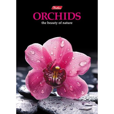 блокнот А6 80 листов Орхидея твердый переплет 3D листов 16460 (050816)