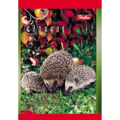 блокнот А7 40 листов Животные России на гребне (023504)