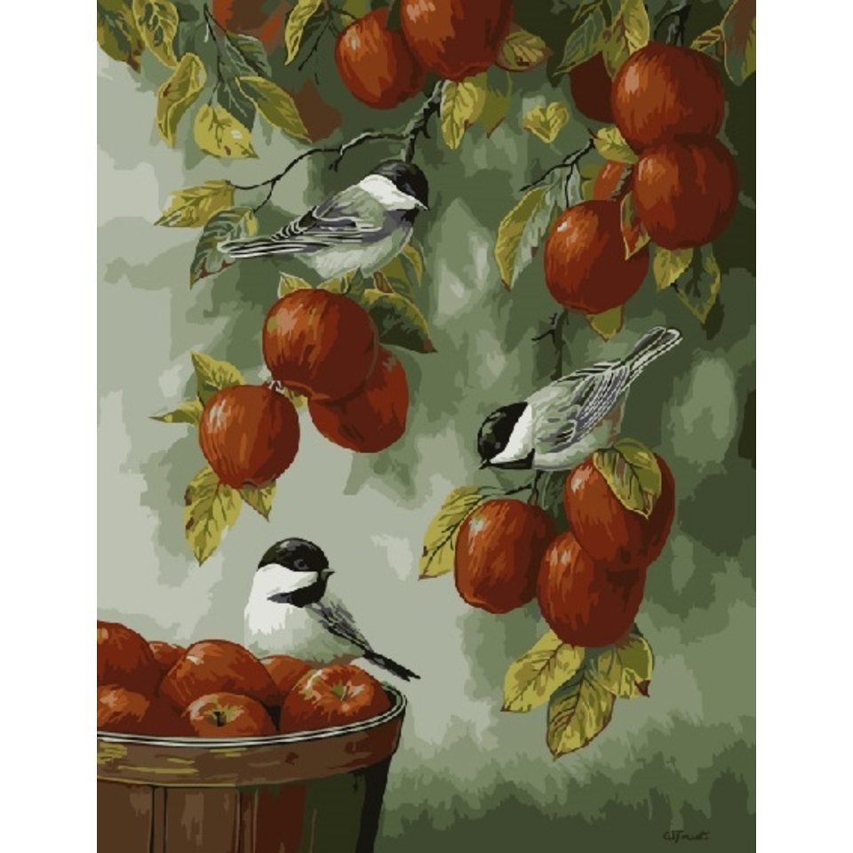 картина по номерам 40х50см GX3379 “Птицы и яблоки”