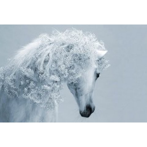 картина по номерам 40х50см GX21799 “Снежный конь”