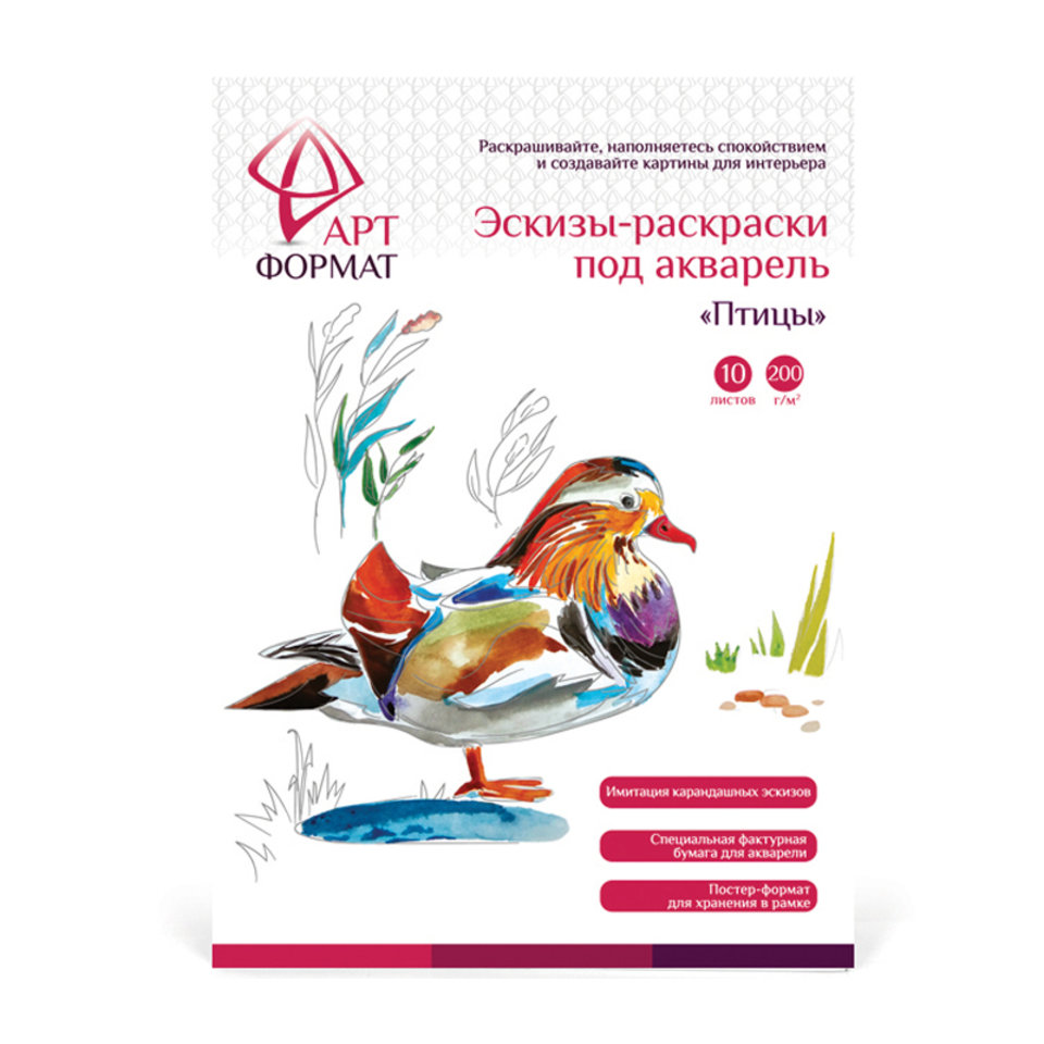 раскраска-эскиз Птицы AF13-043-07