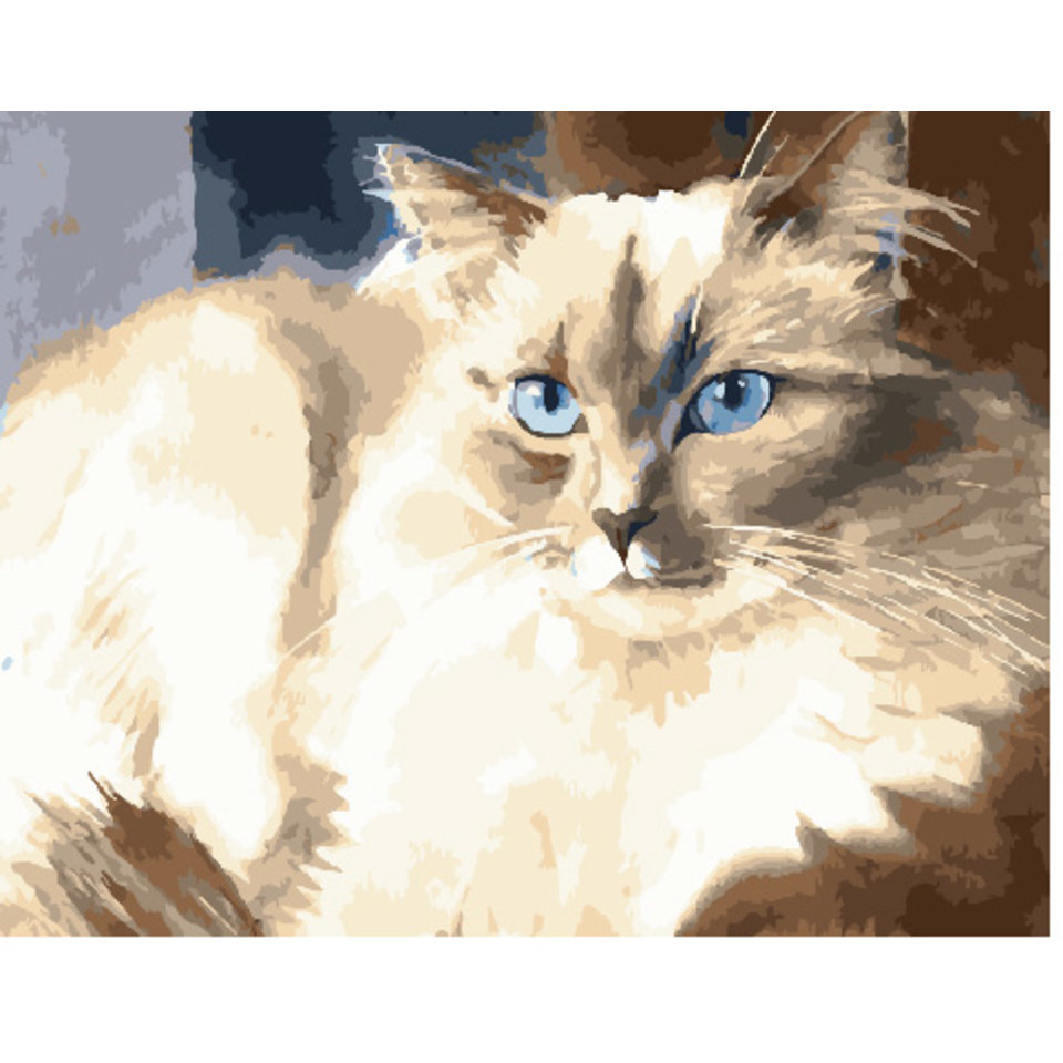 картина по номерам 40х50см PK30001 “Пушистый красавец”