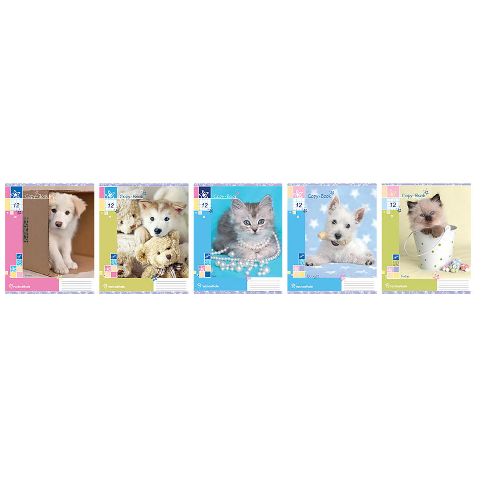 тетрадь 12 листов цветная Rachael Hale в клетку RH1/5