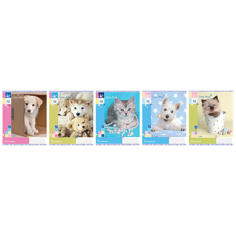 тетрадь 12 листов цветная Rachael Hale в клетку RH1/5