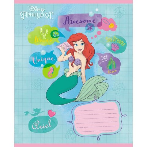 тетрадь 18 листов цветная Принцессы (DISNEY) в клетку (057099) Хатбер