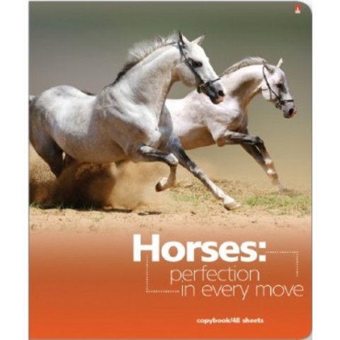 тетрадь 48 листов Мустанги 7-48-407 в клетку