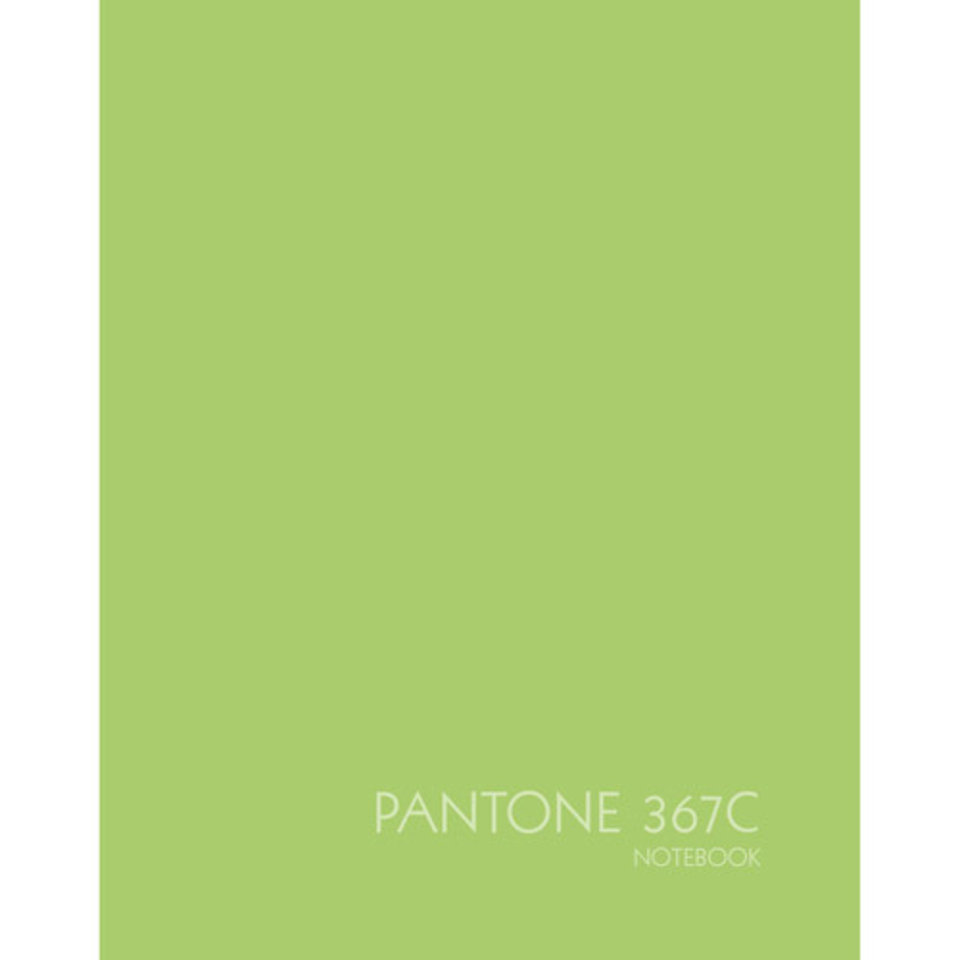 тетрадь 96 листов Новая палитра зеленый (евротетрадь) 596195