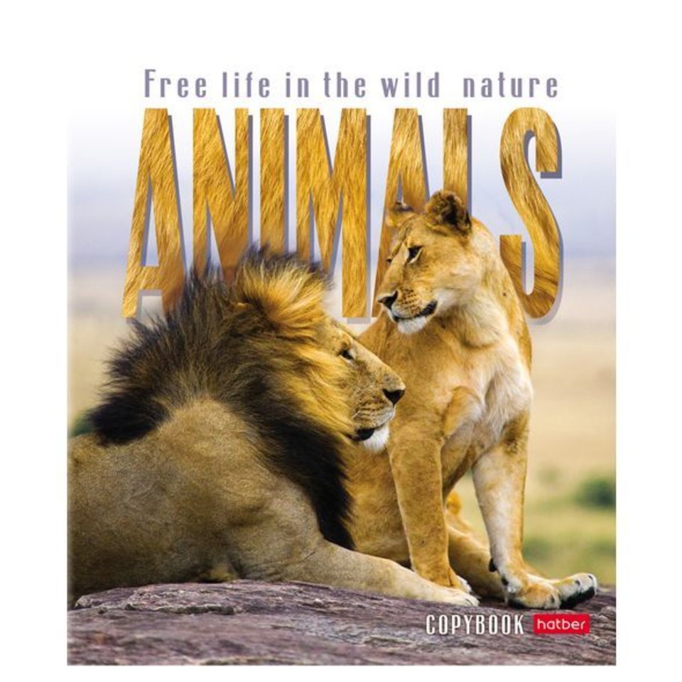 тетрадь 48 листов Animals в клетку (057341) Хатбер