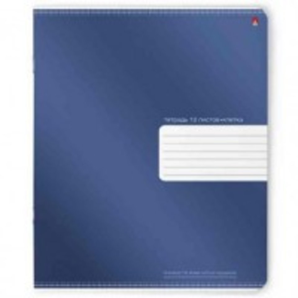 тетрадь 24 листа Премиум металлик 7-24-829/2 в линейку