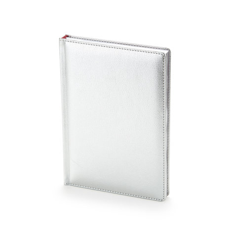 ежедневник недатированный А5 Sidney серебро серебристый срез 3-128/10 Альт Альт