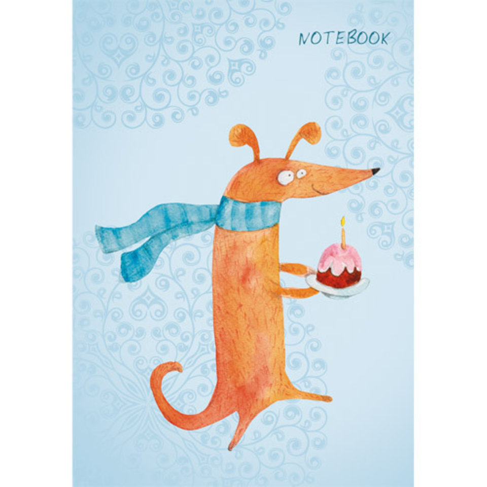 записная книжка А6 48 листов Спешу на праздник 6482738