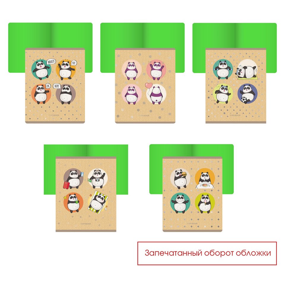 тетрадь 48 листов Каникулы панды в клетку 486340