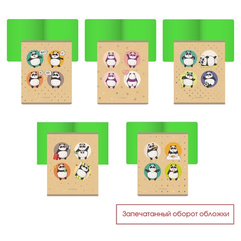 тетрадь 48 листов Каникулы панды в клетку 486340