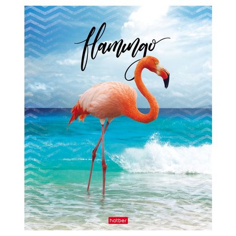 тетрадь 48 листов Фламинго 19323 (057063) в клетку