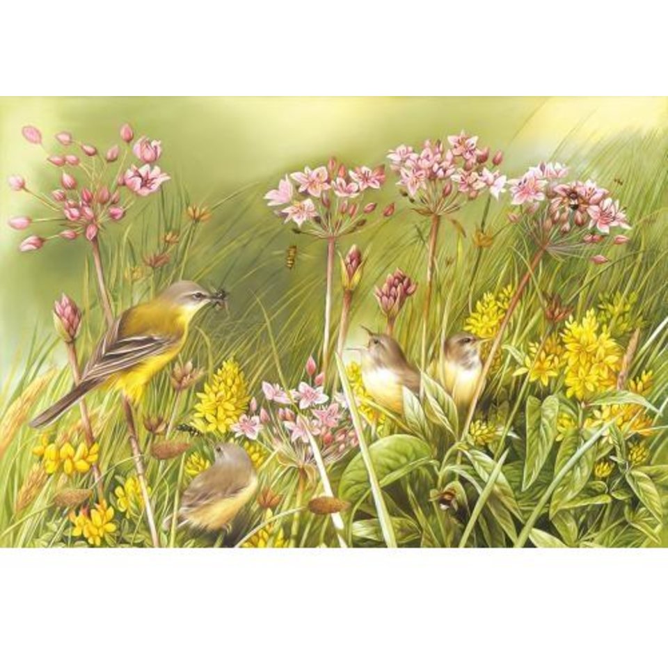 картина по номерам 40х50см GX26355 “Птички”
