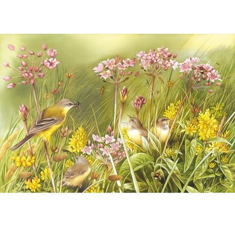 картина по номерам 40х50см GX26355 “Птички”