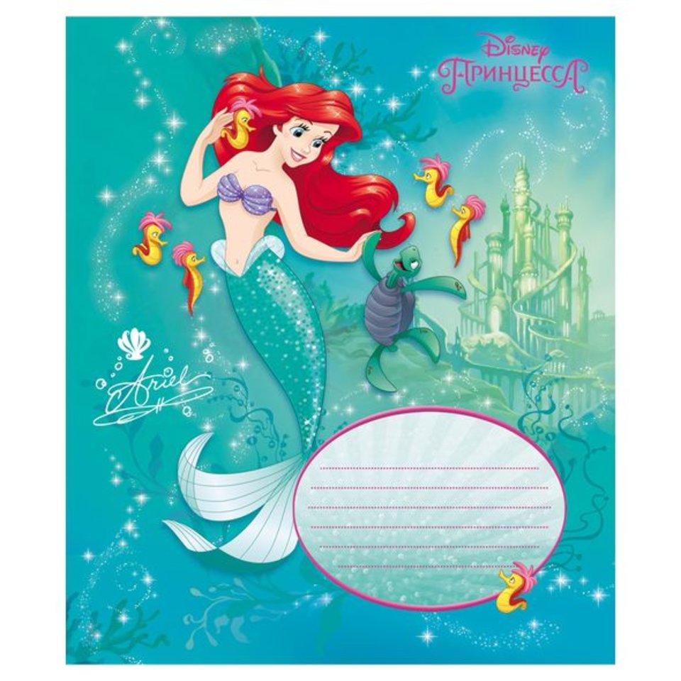 тетрадь 12 листов цветная Принцессы (DISNEY) в клетку (057092) Хатбер