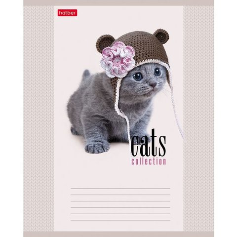 тетрадь 12 листов цветная Кототерапия в клетку (058038) Хатбер