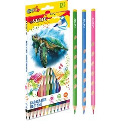 цветные карандаши 12 цветов DEVENTE Cosmo трехгранные, эргономичные выемки
