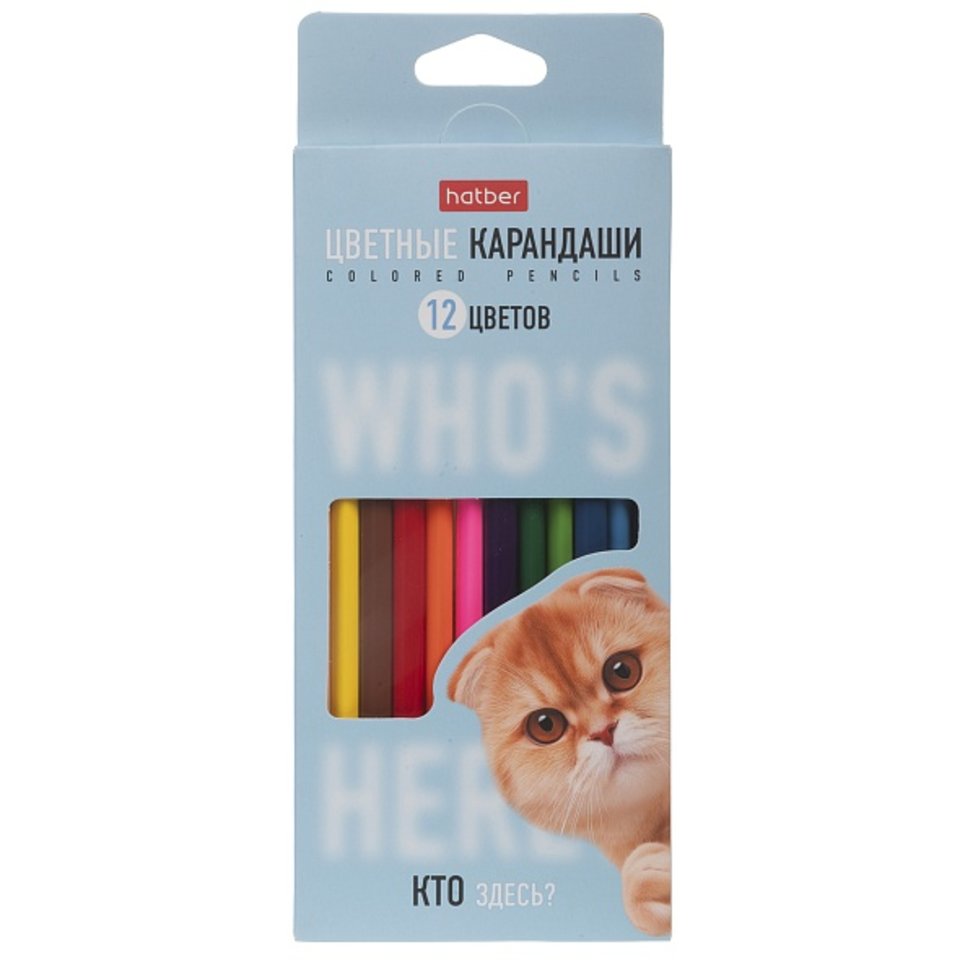 цветные карандаши 12цв Кто здесь? трехгранные cs094109