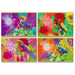 альбом для рисования 16 листов Paradise bird 4диз 6624 BG