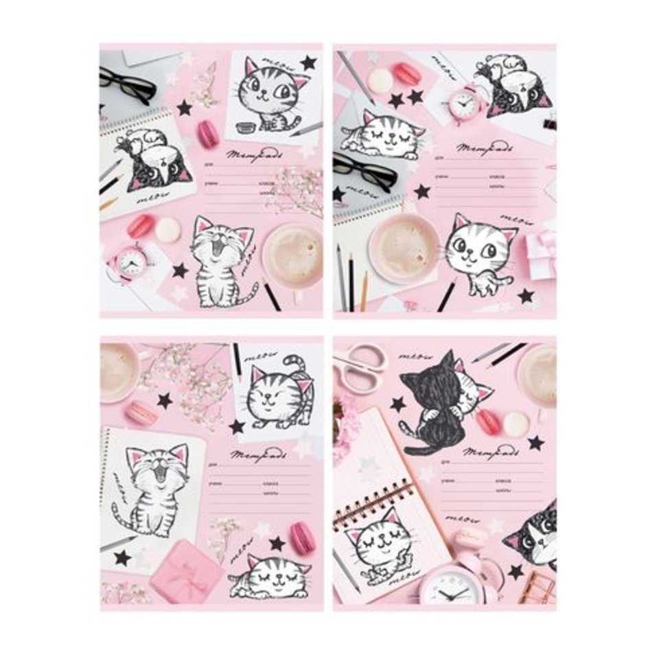 тетрадь 24 листа цветная Портрет котёнка 4 дизайна в линейку 6650 BG