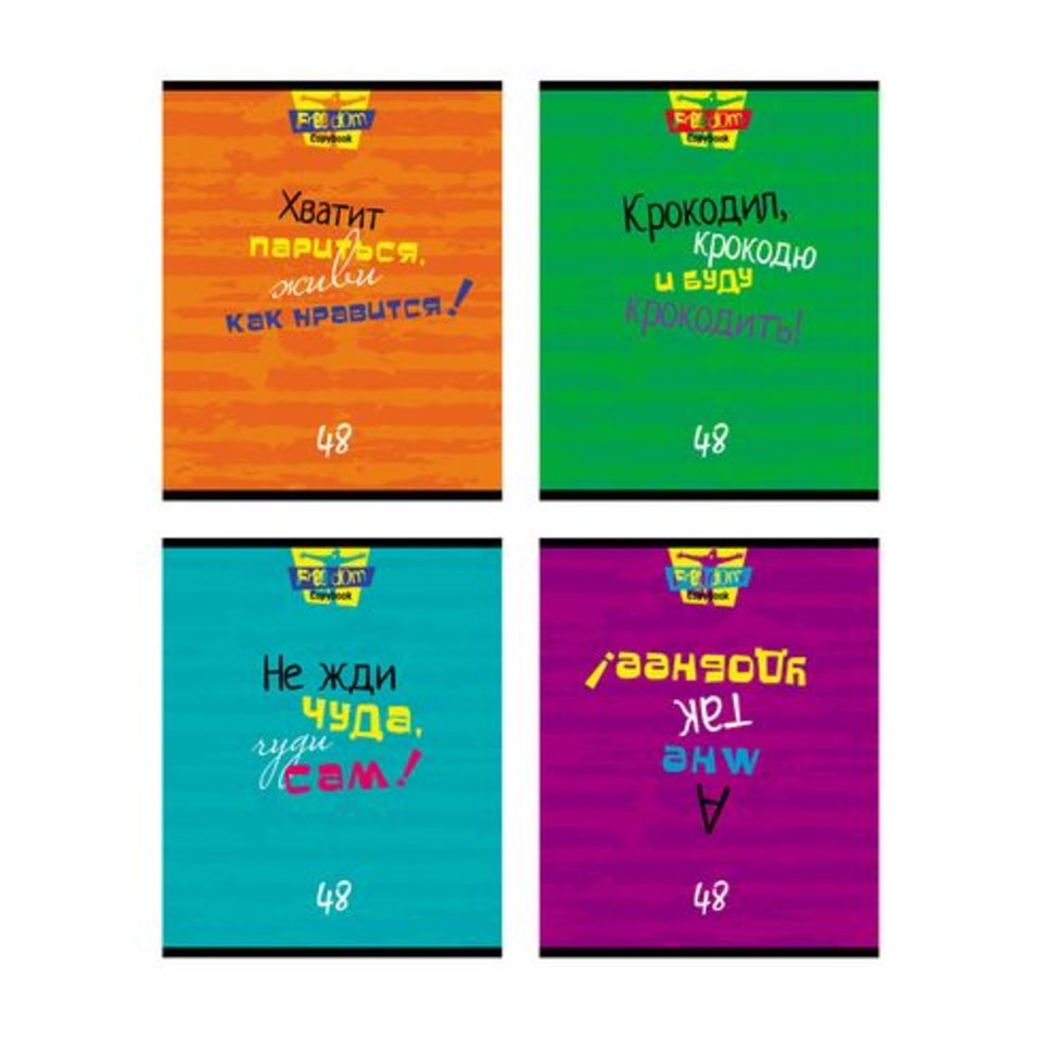 тетрадь 48 листов Freedom copybook 4 дизайна в клетку 5787 BG