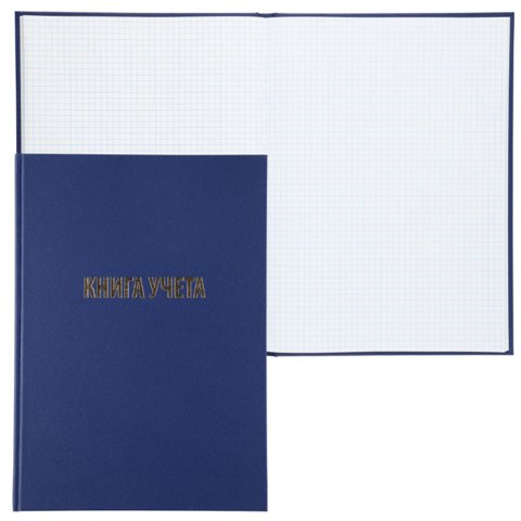 книга учета А4 96л бумвинил офсет клетка klerk216396/att1743626/lam17