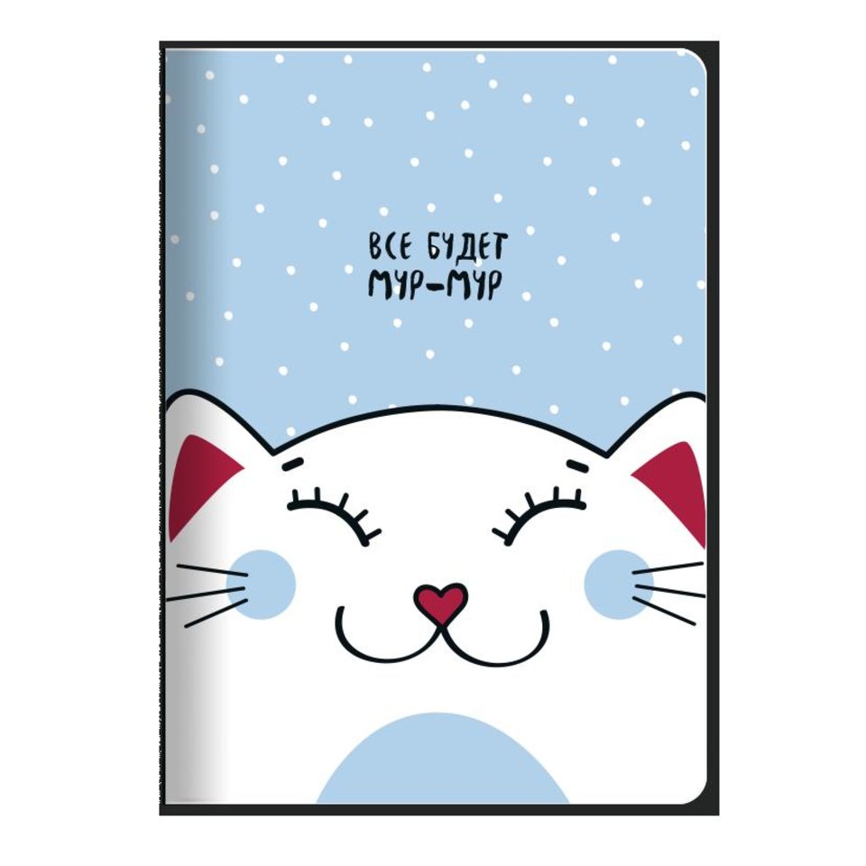 тетрадь 48 листов Mur-mur Кот в клетку N1171