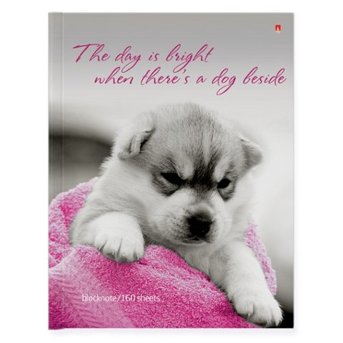 записная книжка А6 160 листов Щеночек 3-160-002/10 Альт