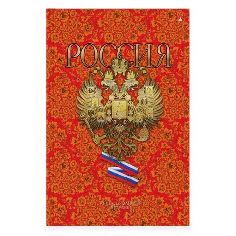книга для записи А4 80 листов "РОССИЯ" 3-80-060/5 Альт