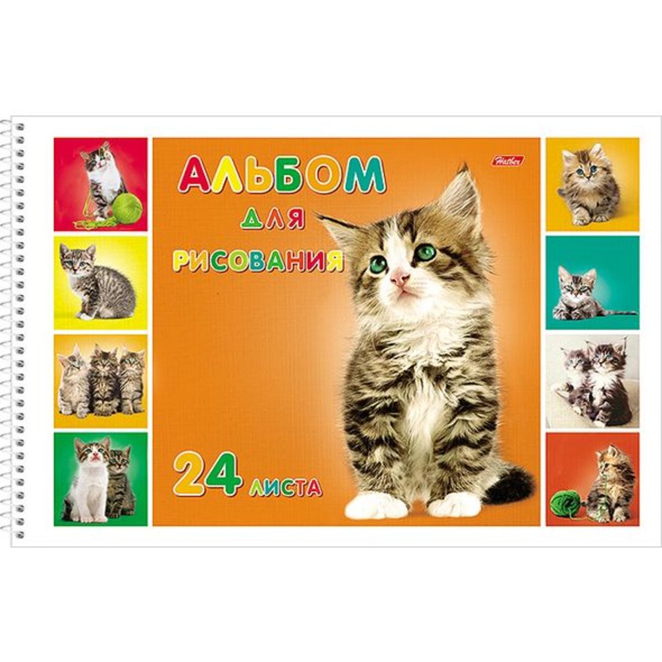 альбом для рисования 24 листа Милые котята на спирали с отрывной перфорацией 004077 Хатбер